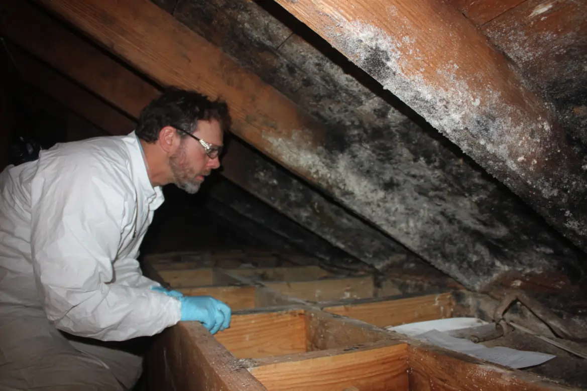 attic & crawl spaces